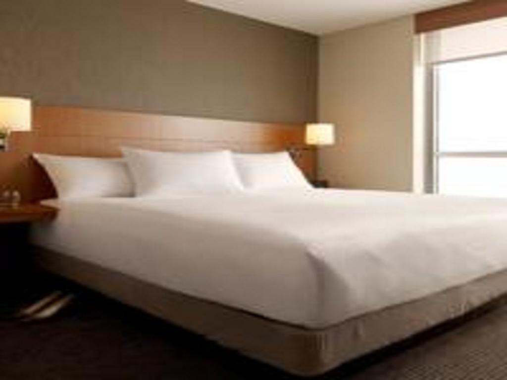 King Room Sofa Bed Accessible Tub Disability Access,123488197:JPEG
